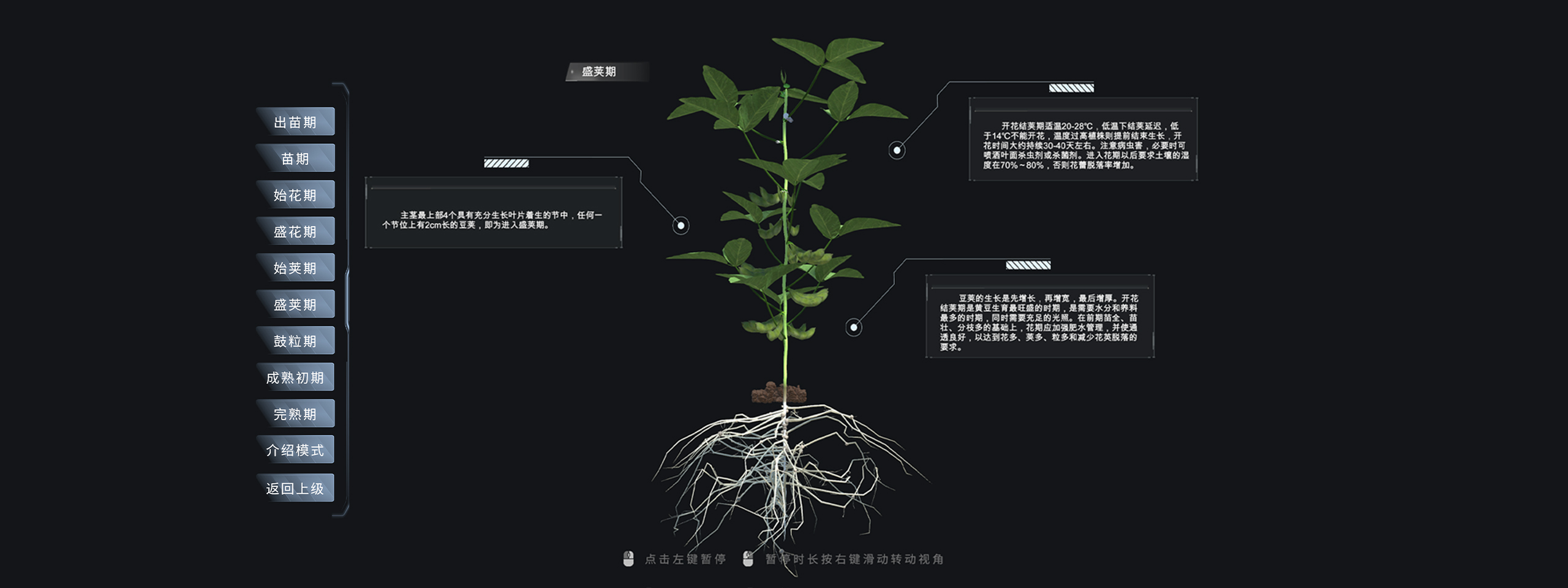 大豆生长数字孪生模型项目画面