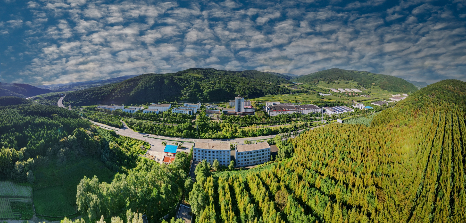 通化东宝药业厂区远景